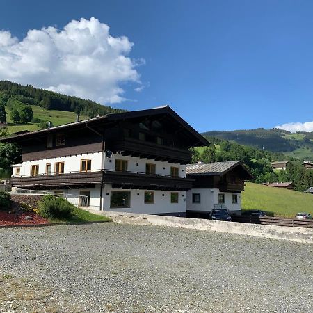 Glemm Lodge Apartments - Joker Card Im Sommer Inklusive Saalbach-Hinterglemm Exterior photo